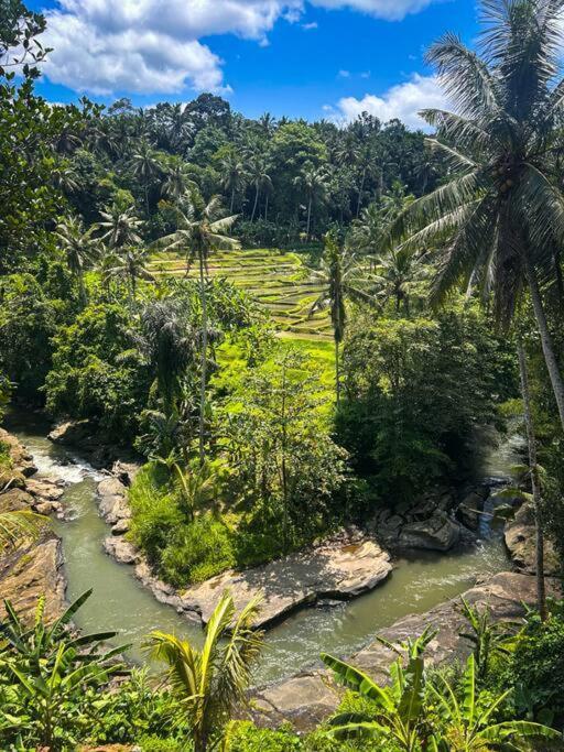 Ubud Riverside Villa Exterior photo