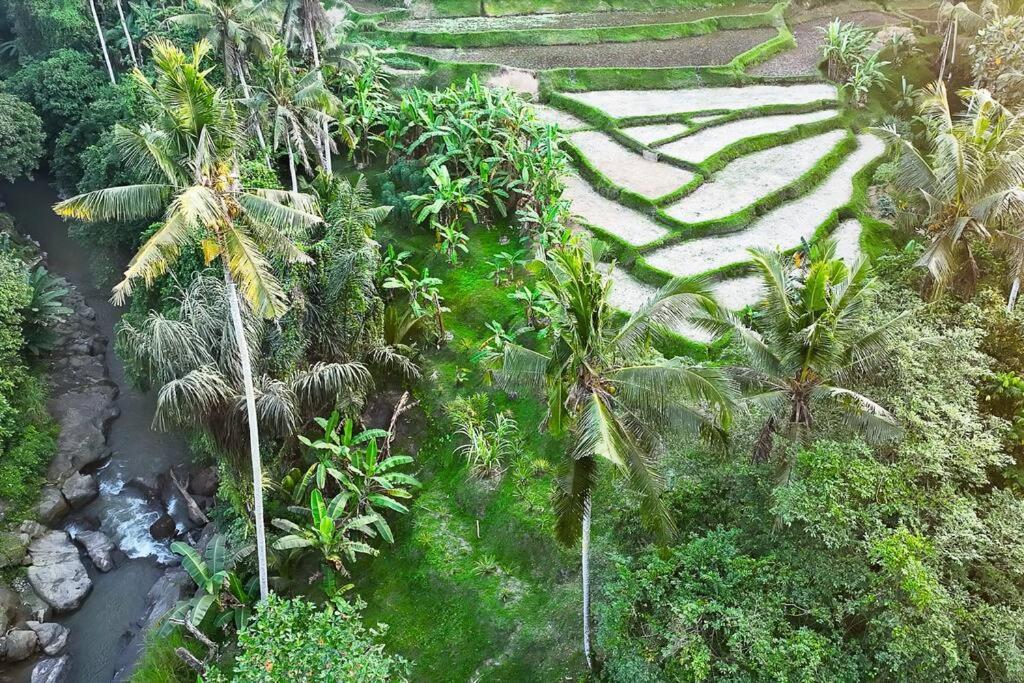 Ubud Riverside Villa Exterior photo